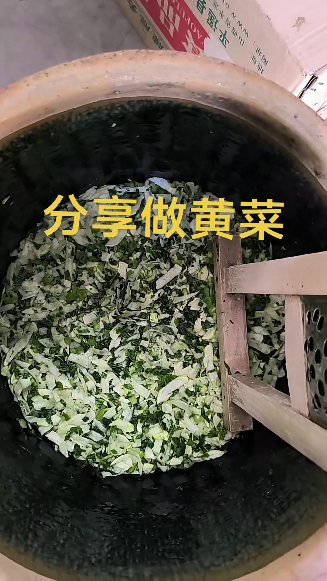 储备冬季的大缸酸菜,俺平遥人叫黄菜,可以做黄菜饼子,可以配粗粮炒,还可以黄菜炖豆腐,黄菜水