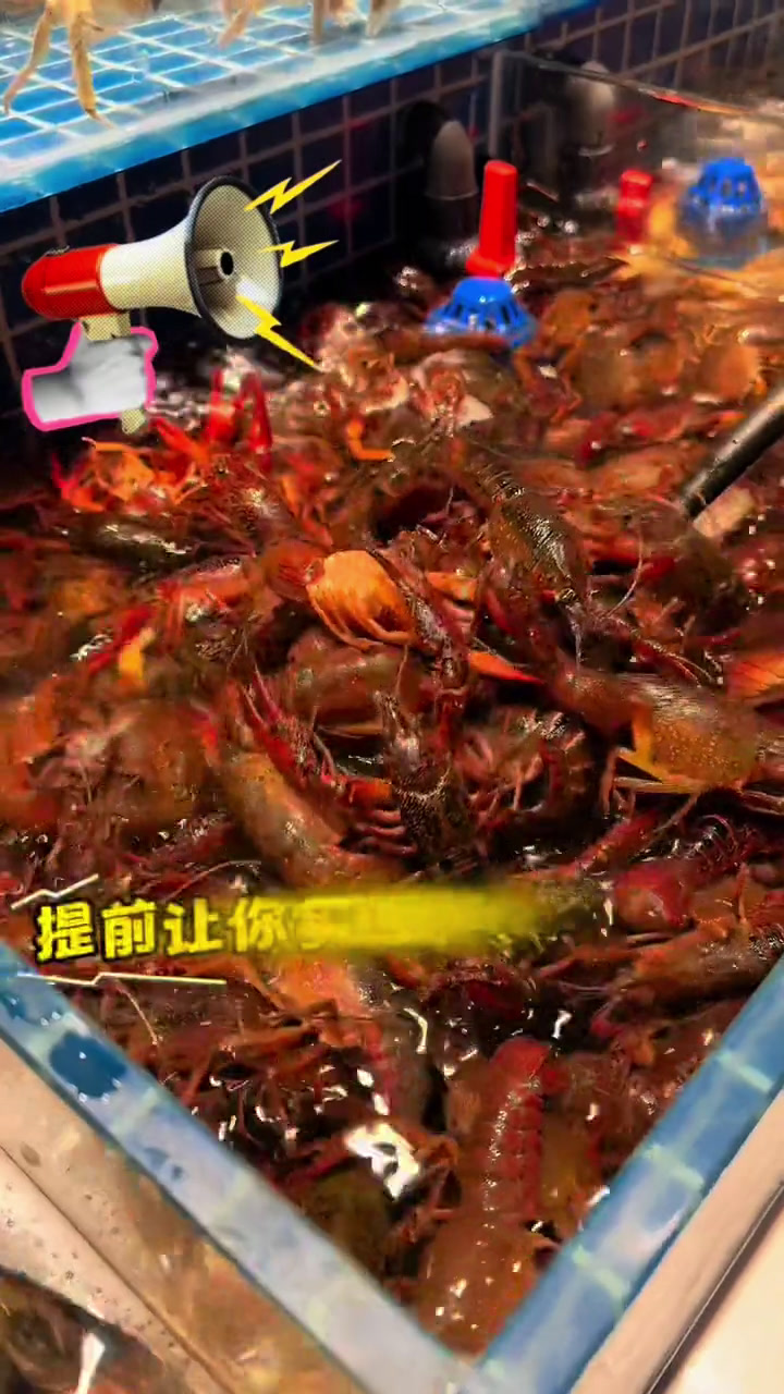 在金华能吃到这样的一顿海鲜自助真的太幸福啦!优惠海鲜自助第一季融合自助餐厅金华美食美食官
