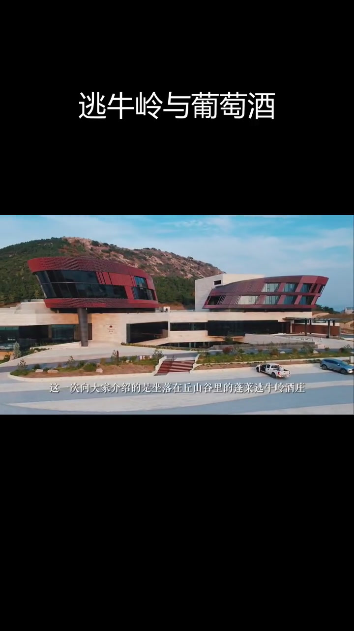 秋山谷中的蓬莱酒庄,半山葡萄园的宁静之旅