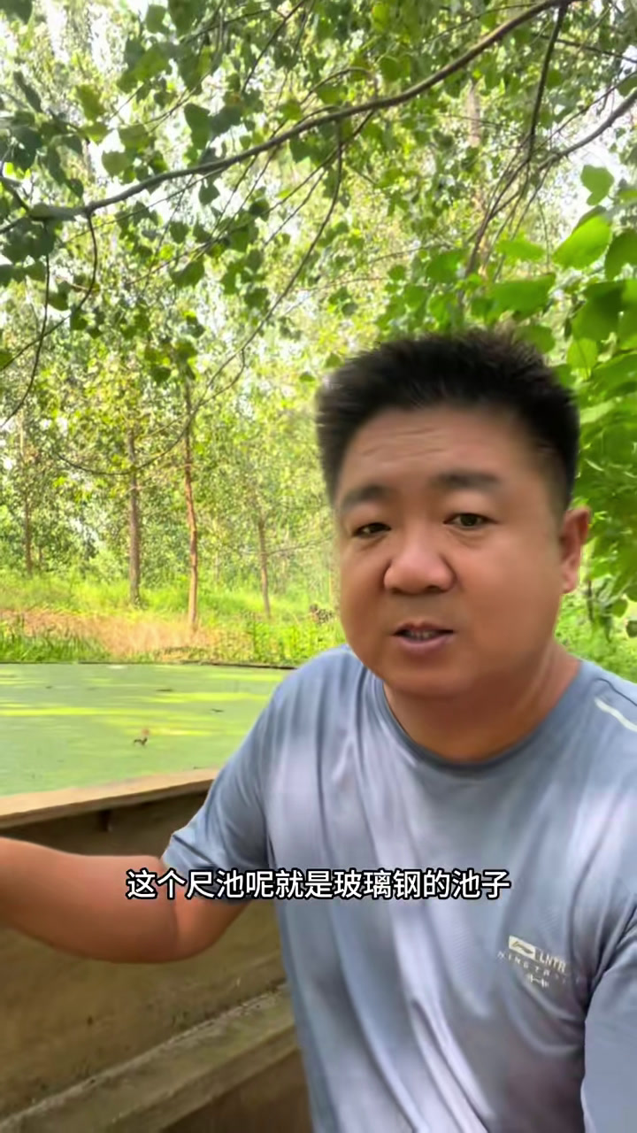 这个就是发酵鸡粪的地方……