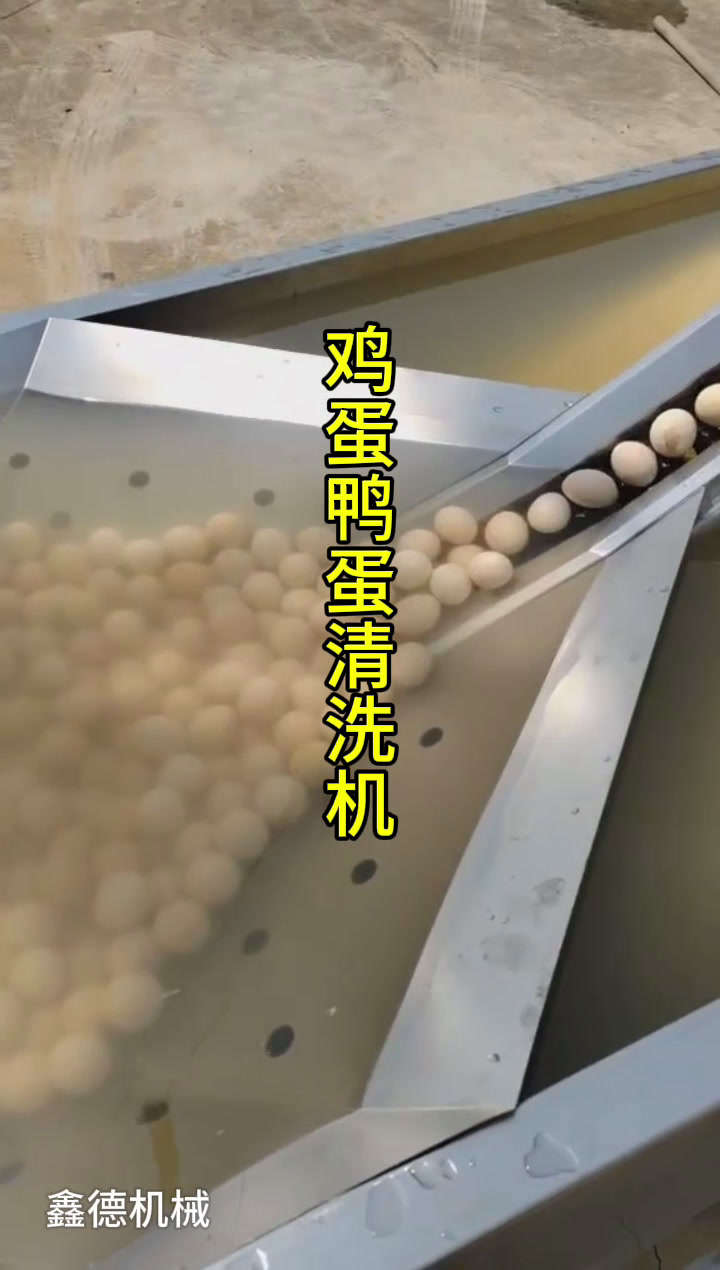鸡蛋清洗机鸭蛋清洗机