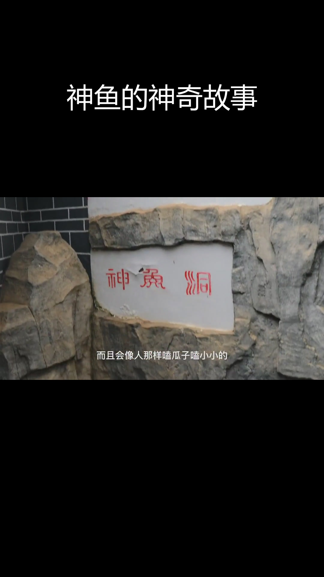 江川神鱼泉的神秘传说