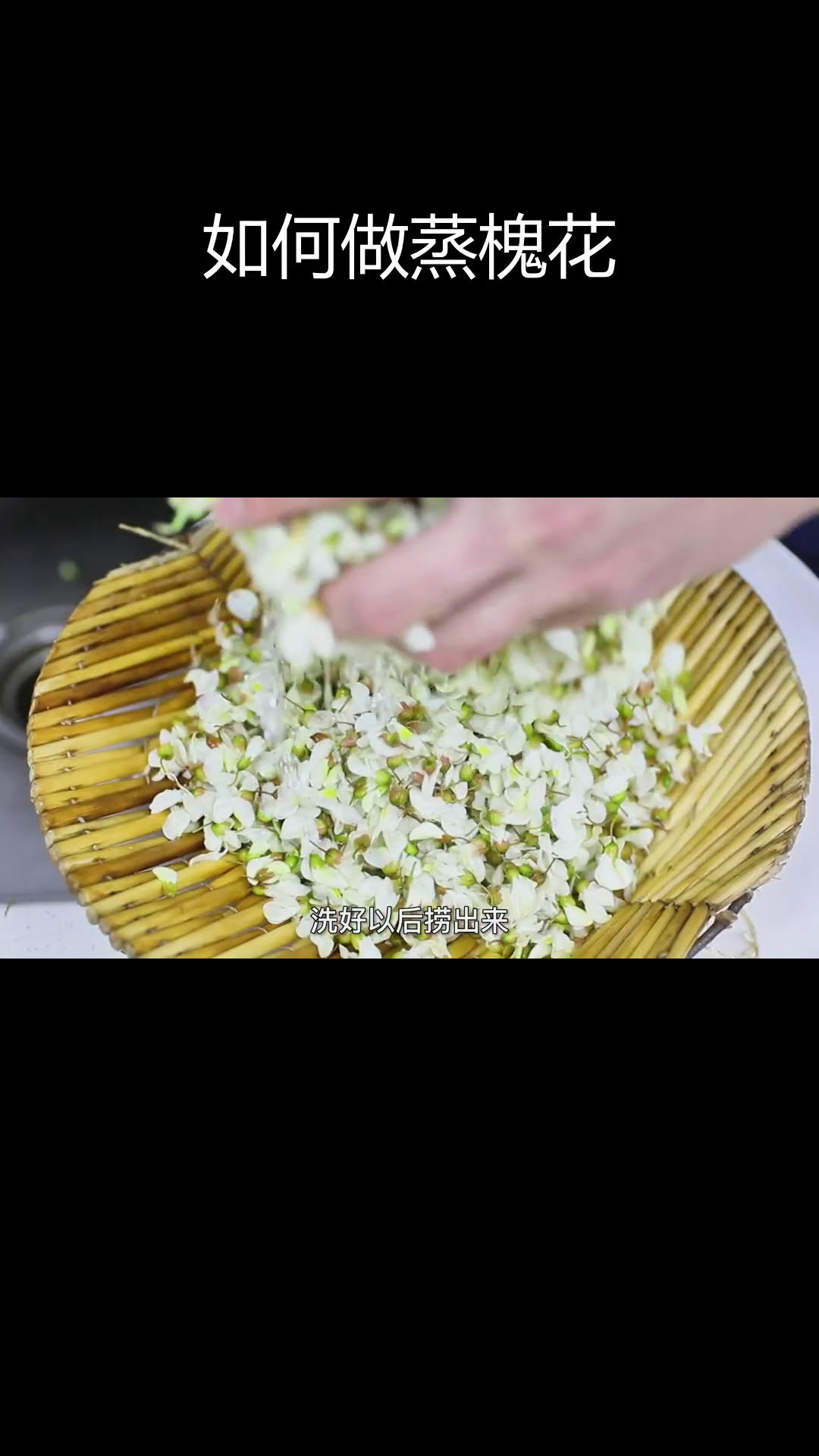 蒸槐花的正确做法,别吃错品种