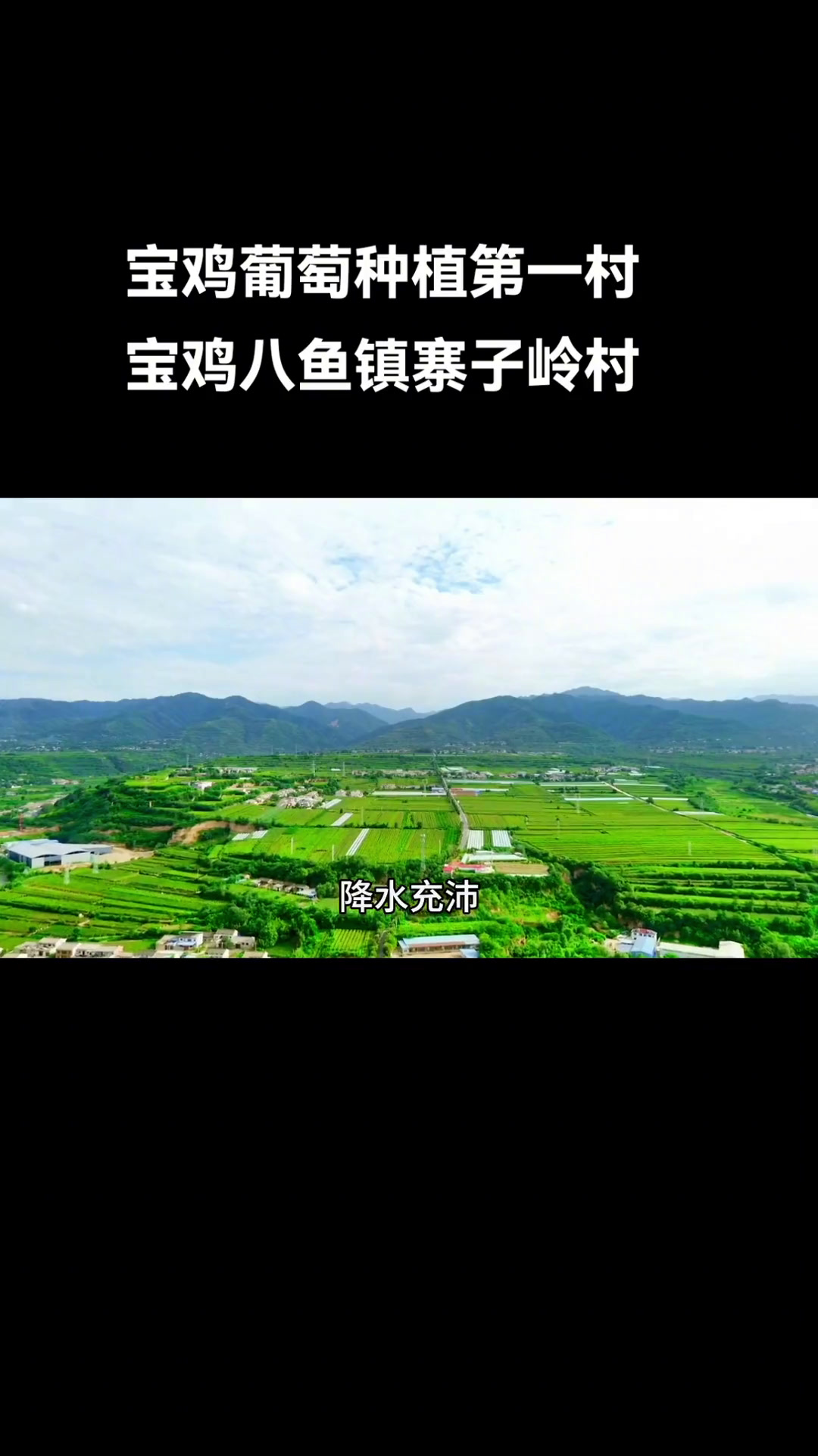 宝鸡寨子岭村,葡萄种植第一村