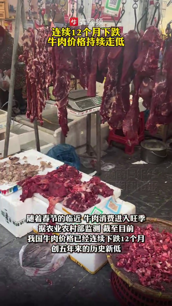 连续12个月下跌,牛肉价格持续走低