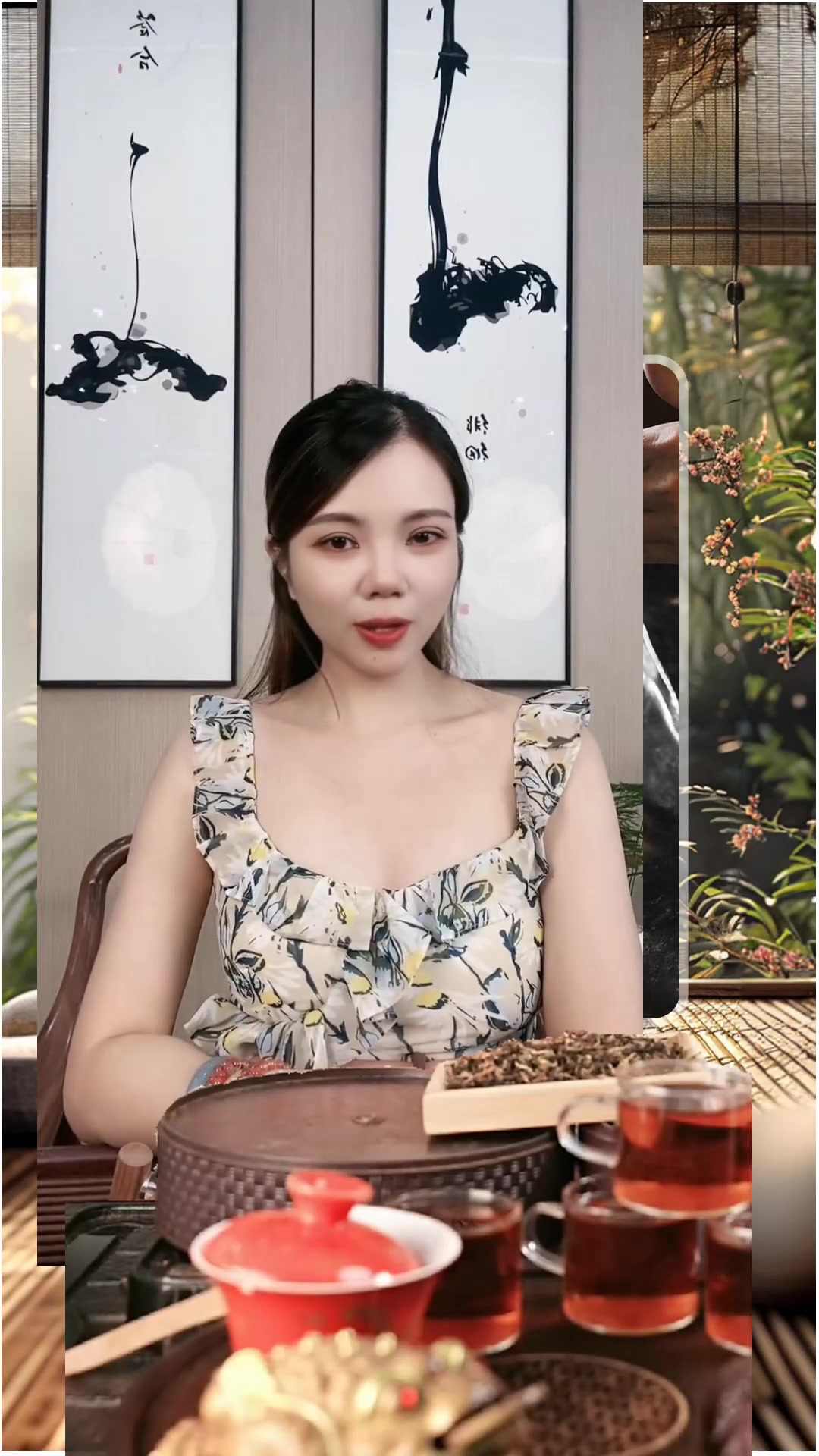 白茶茶叶的功效与作用
