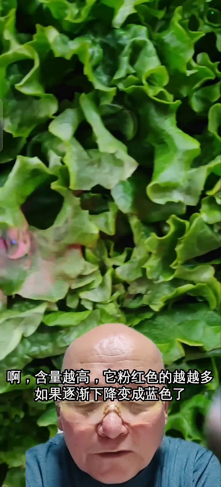 紫光灯检测蔬菜新鲜度,教你挑选粉红色光斑蔬菜