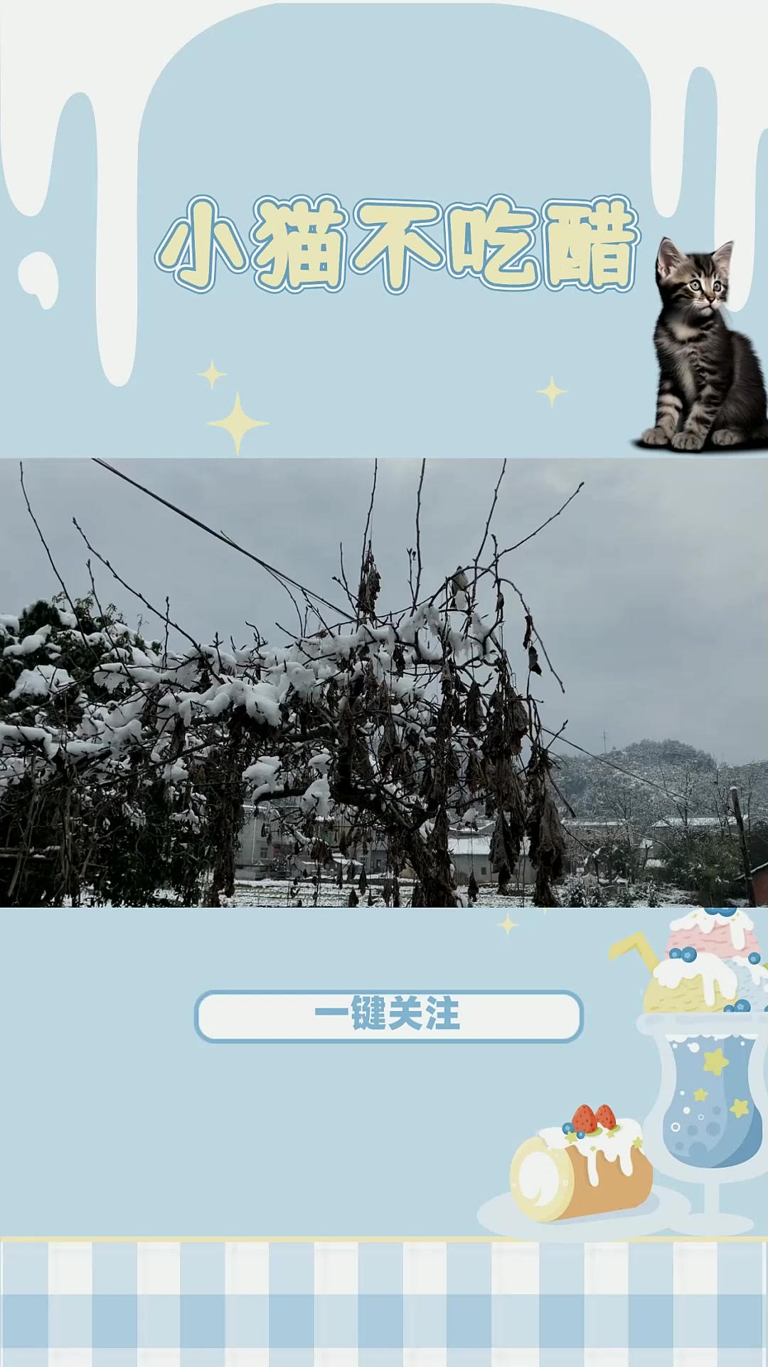 大嘴鸭跟鸟抢食,这进食速度太快!