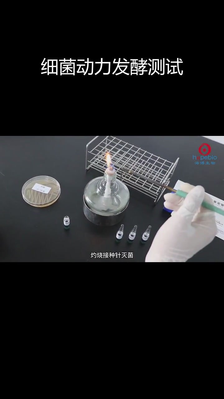 半固体实验操作与结果判断:沙门氏菌和志贺氏菌的生化检测