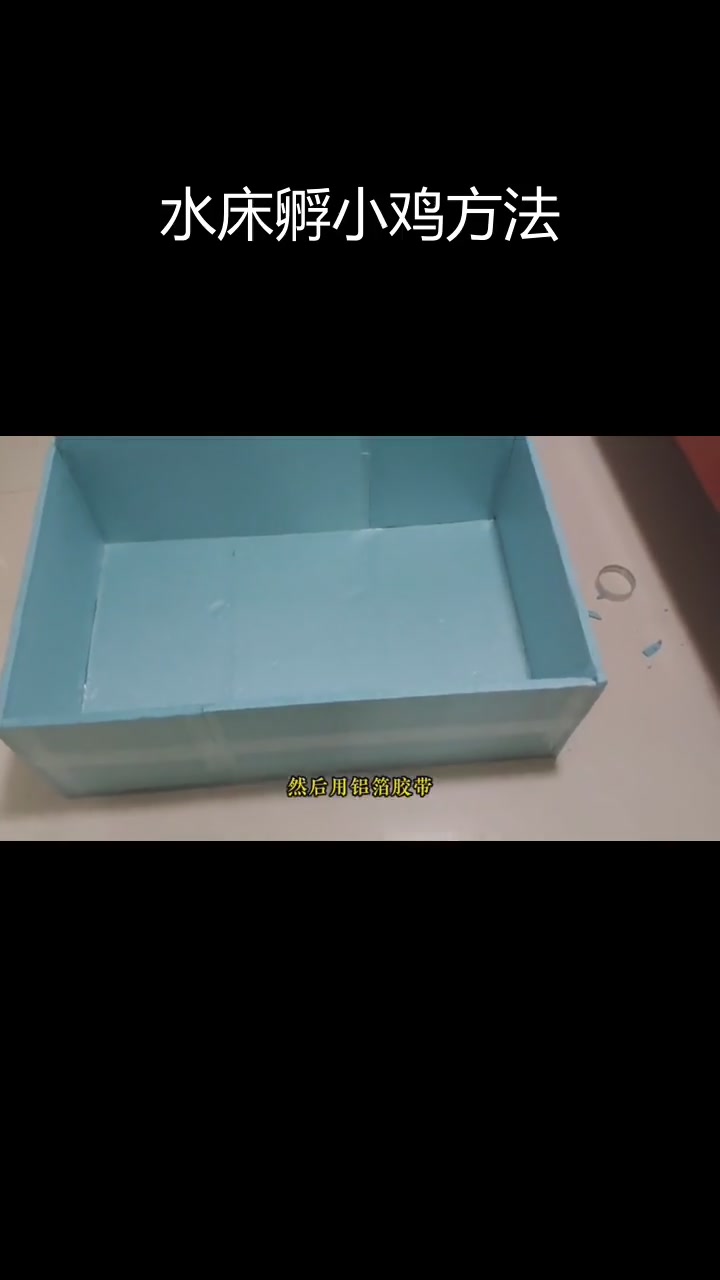 自制水床孵化器制作教程