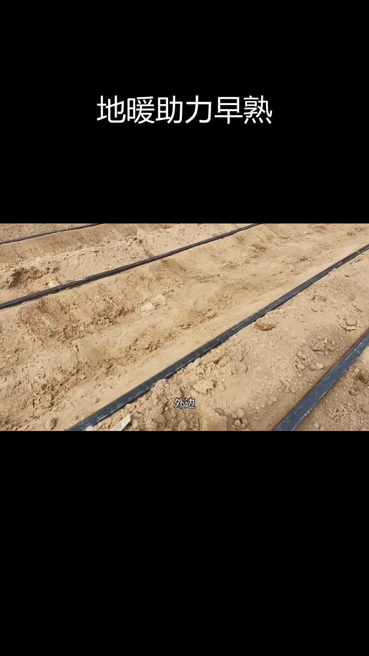 大棚地暖提升温度,提前上市瓜果