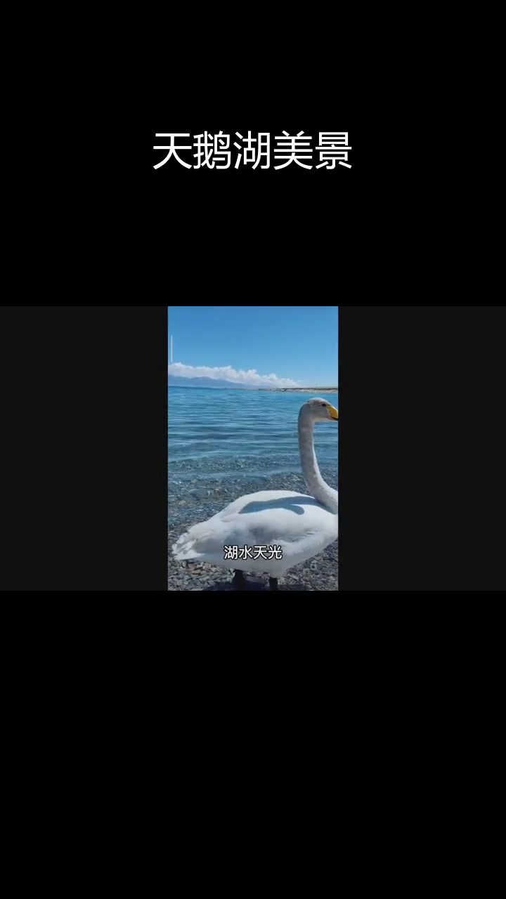 新疆天鹅湖的壮丽风光