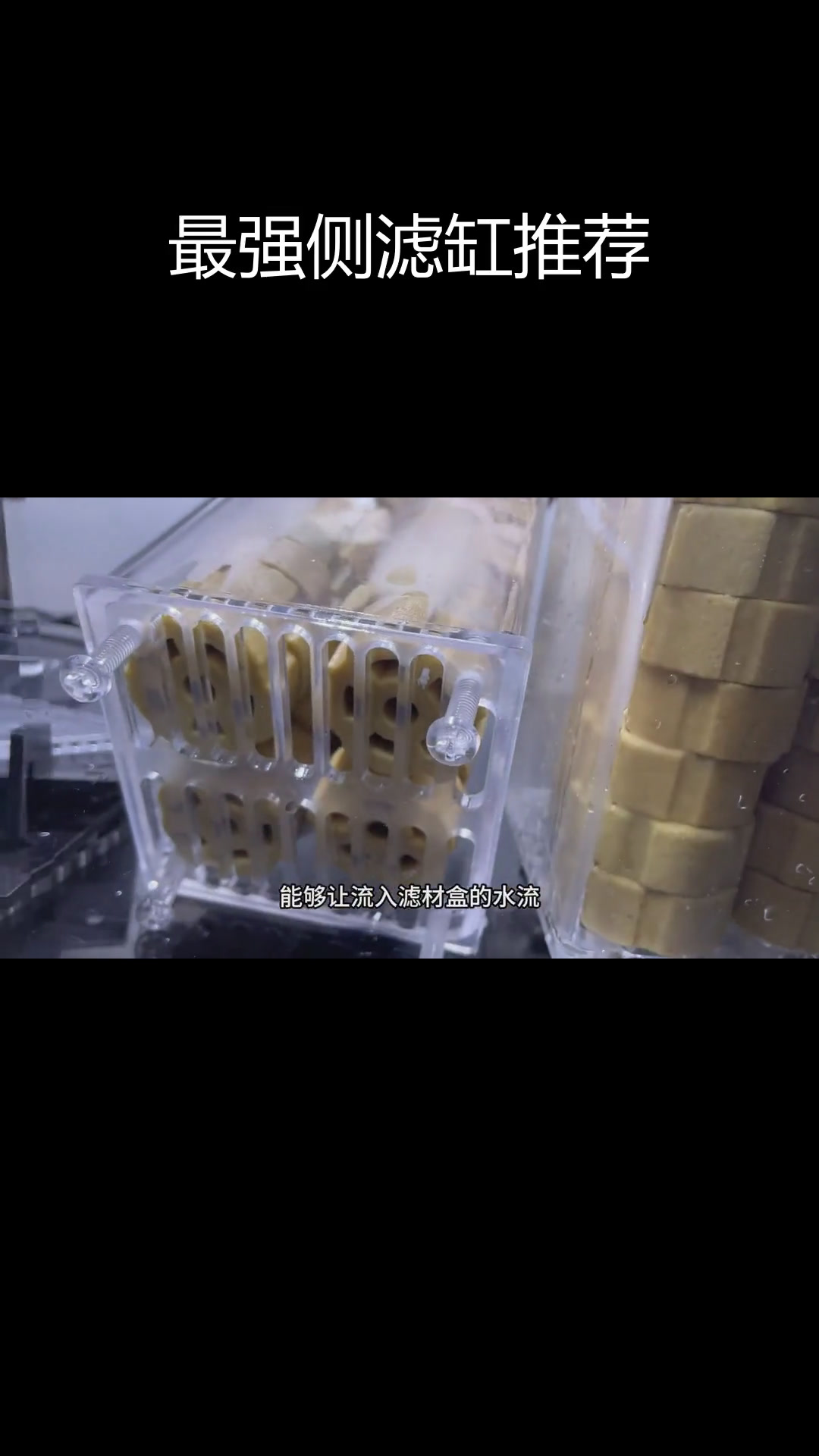 这款侧滤缸让养金鱼更轻松,完美解决过滤问题