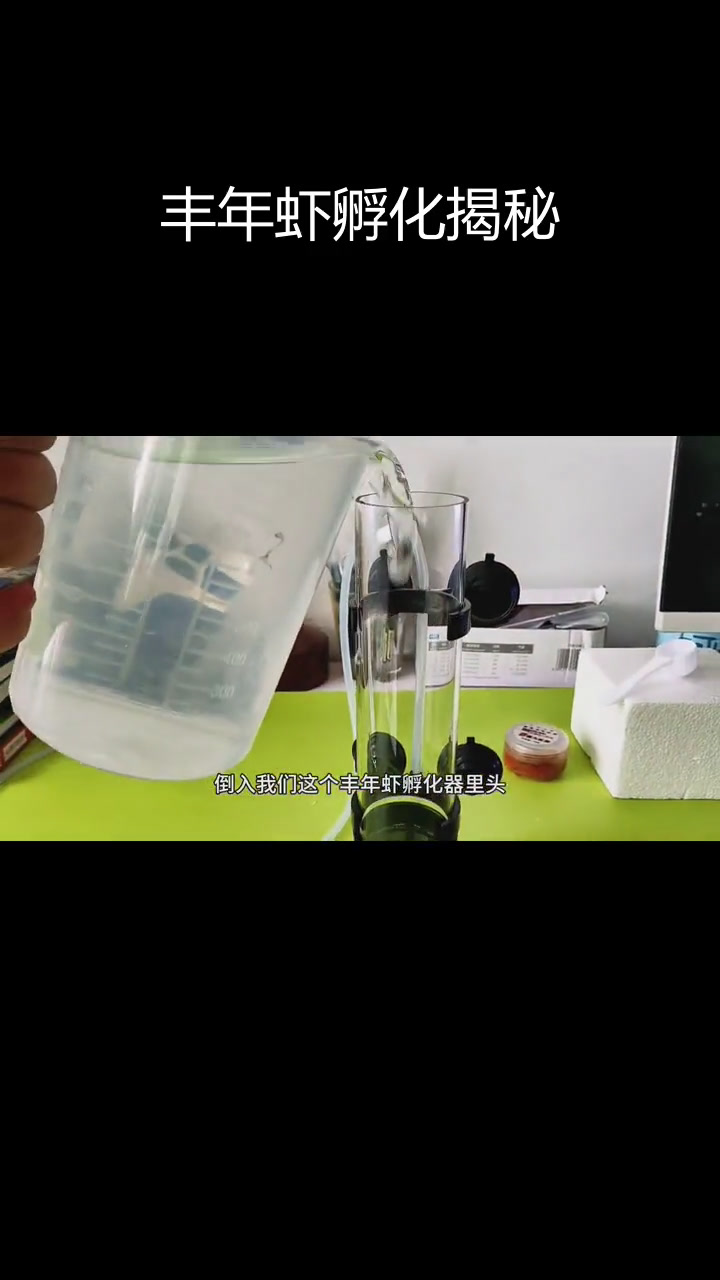 显微镜下的丰年虾孵化过程