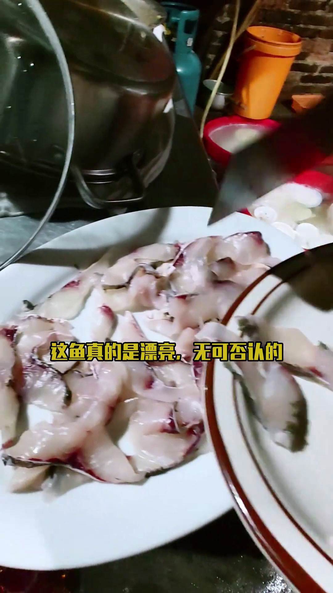 寻味伦教~官沙大酒店,野味鱼生粥。顺德美食好食材出好味道地道风味美食官