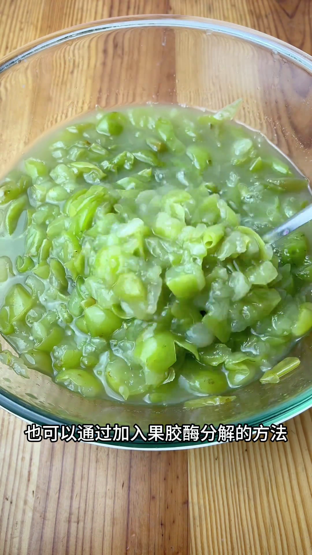 在家自酿一款白葡萄酒,并把过程分享给大家!自制葡萄酒自制果酒白葡萄酒制作过程