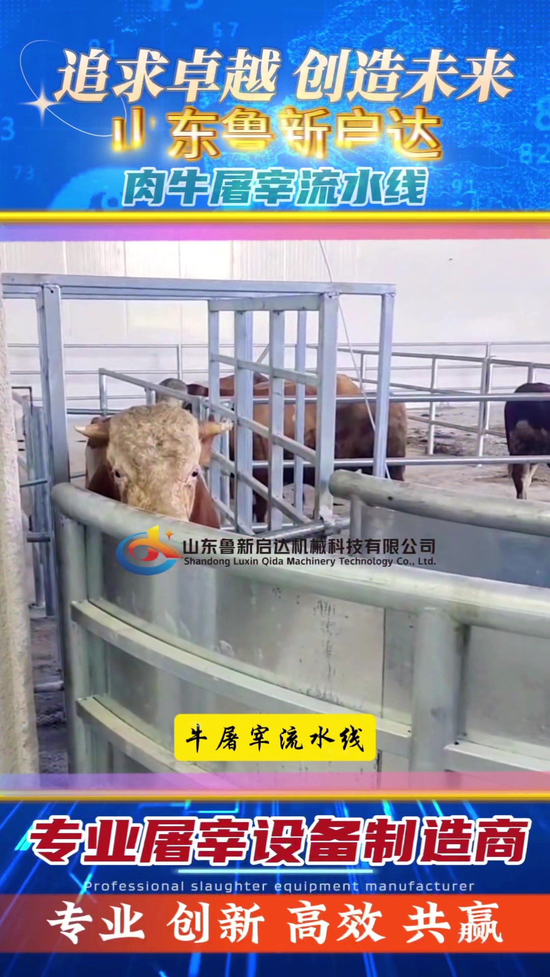 活牛屠宰流水线设备