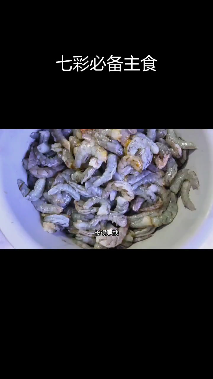 七彩神仙鱼专用牛心汉堡,营养丰富低风险