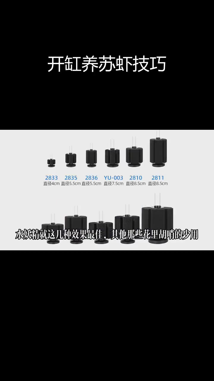 苏虾开缸全流程,如何打造适合观赏虾的水质环境