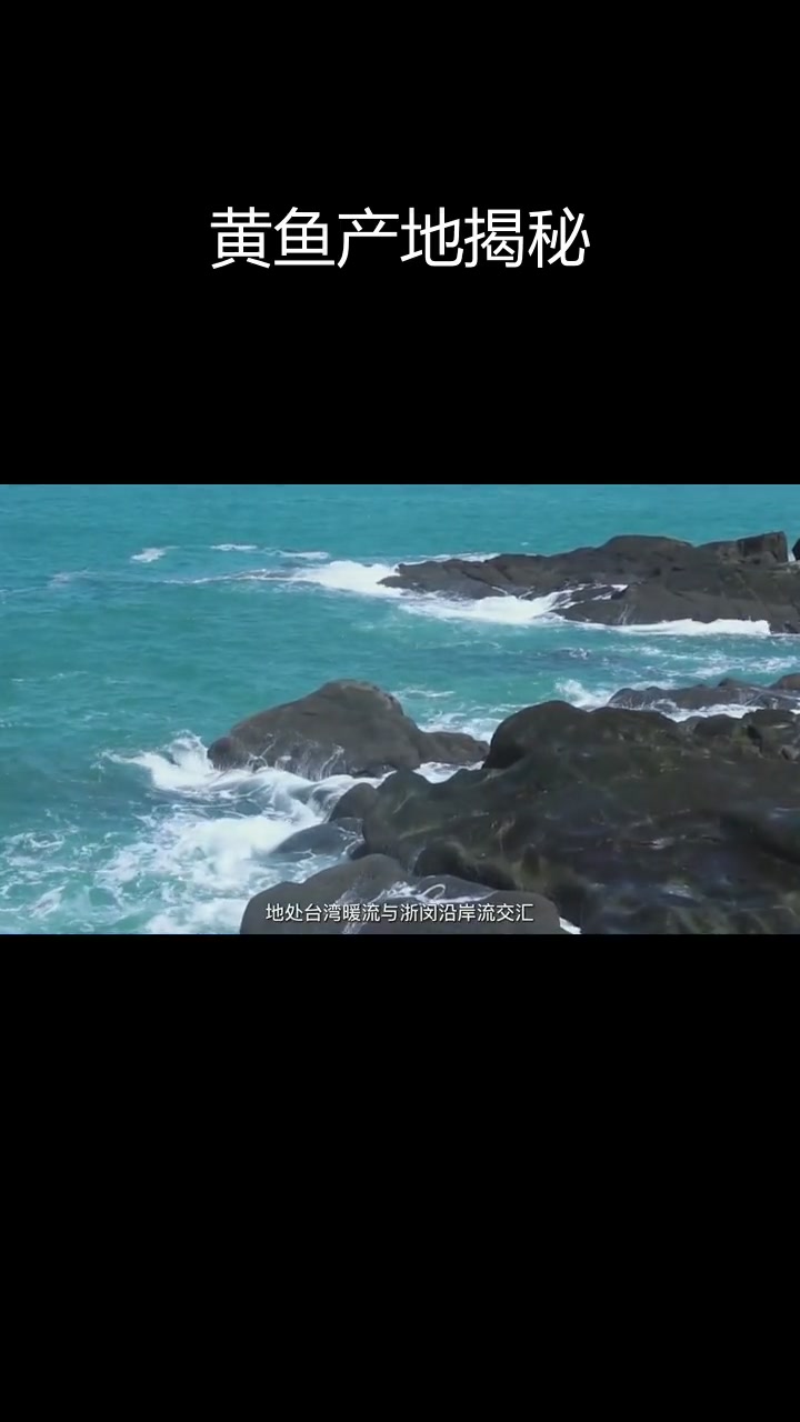 南麂列岛:黄鱼养殖的天然海域