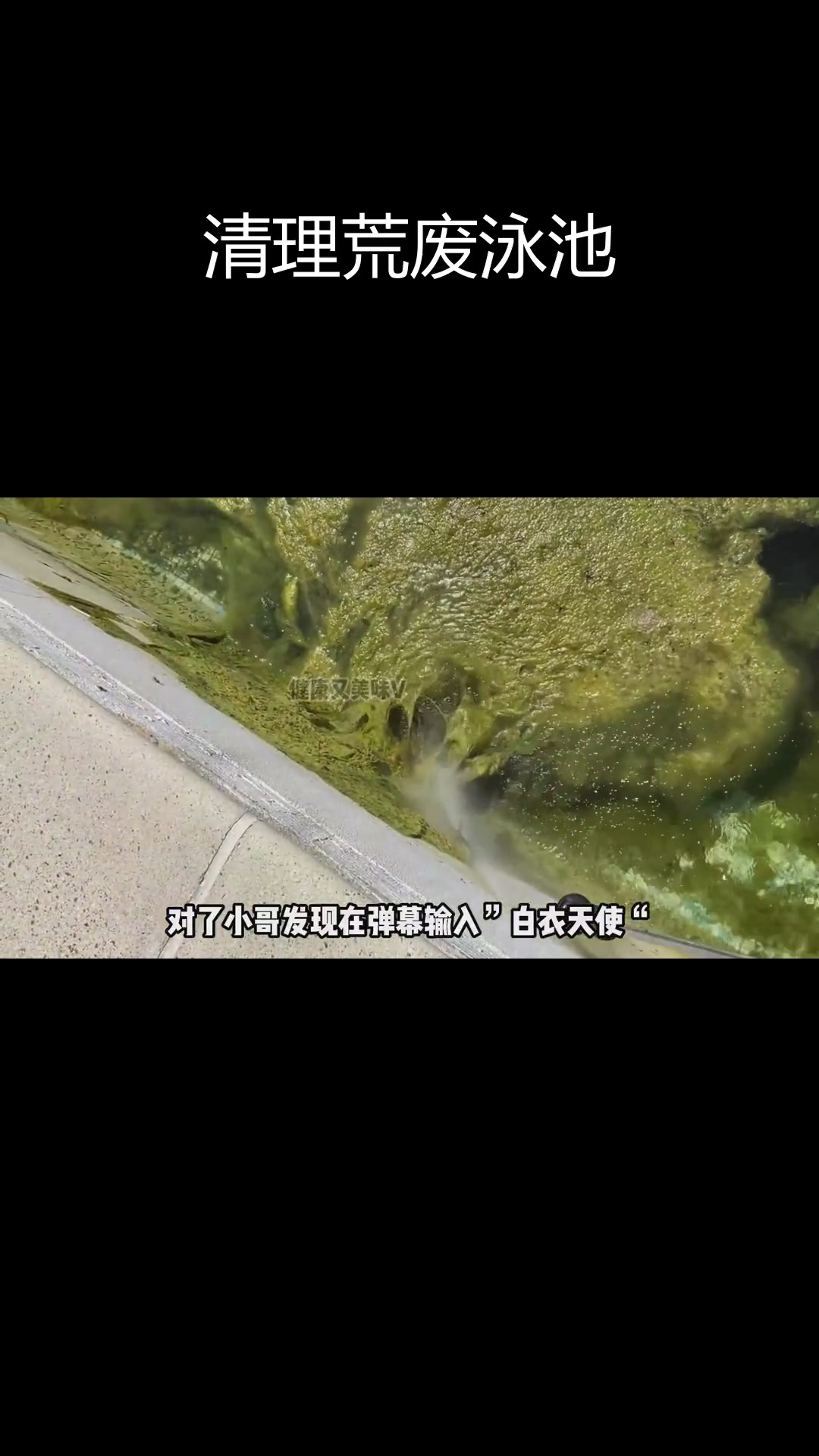荒废8年泳池清理全过程,惊现抹茶慕斯