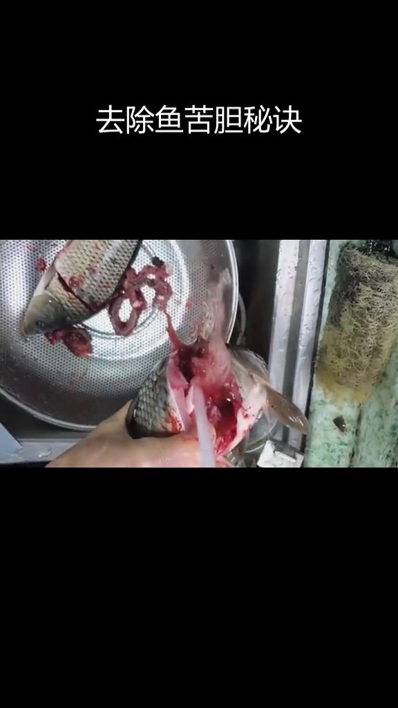 杀鱼技巧大公开,轻松去除苦胆