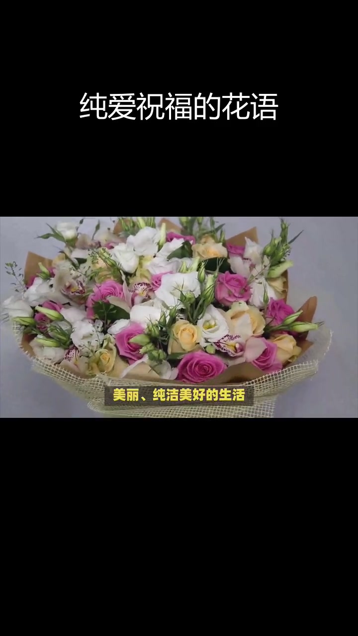 粉白玫瑰花束的寓意与象征