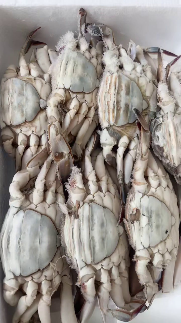 船冻大母蟹和头籽冰虾,强的厉害