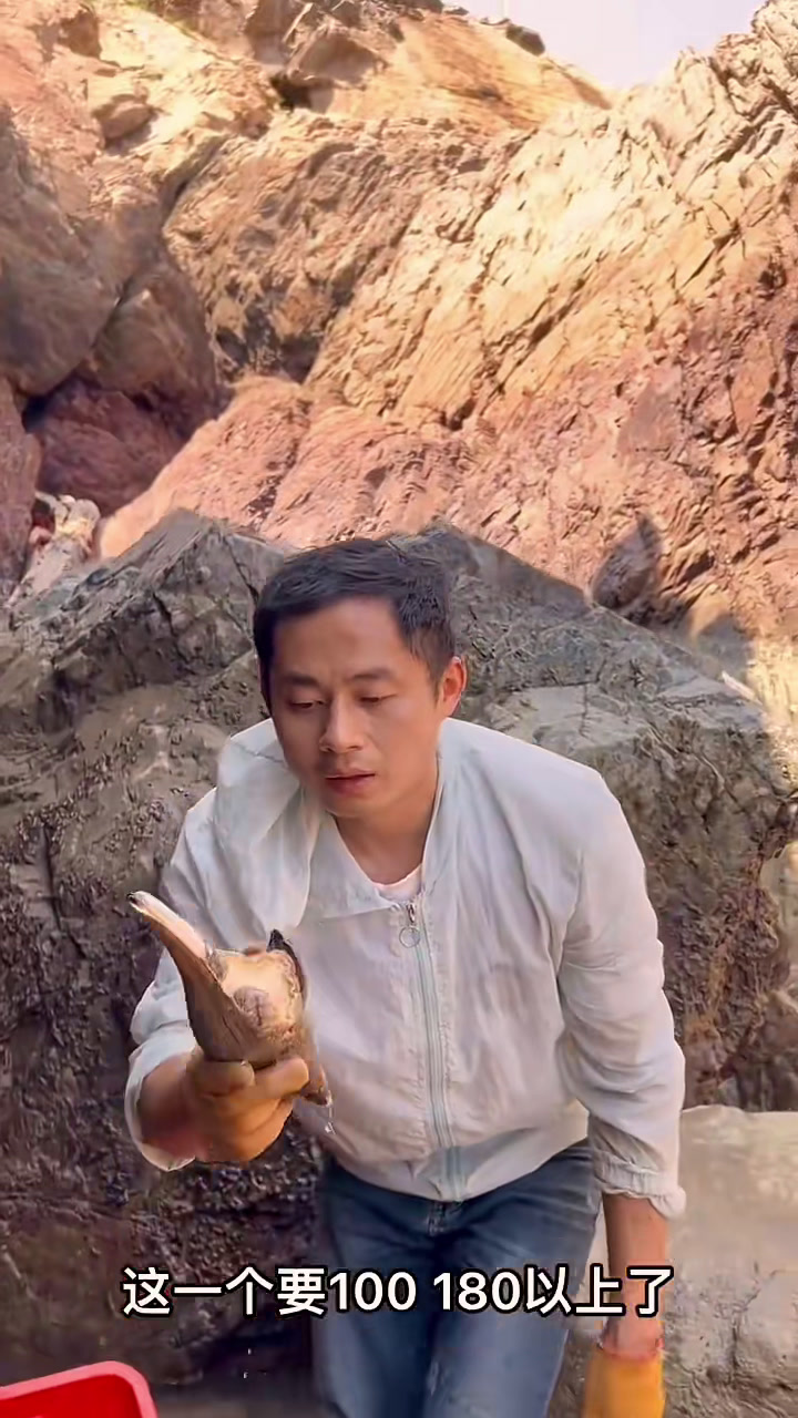 名贵鱼种 今天我们抓的都是值钱货,有鱼王三刀鱼.石雕鱼.海螺