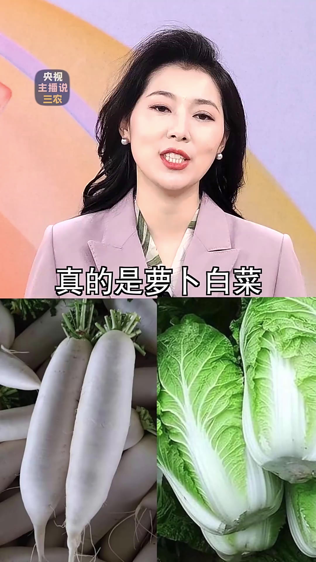 泡菜腌不起了?韩国国产白菜辣椒或将消失!