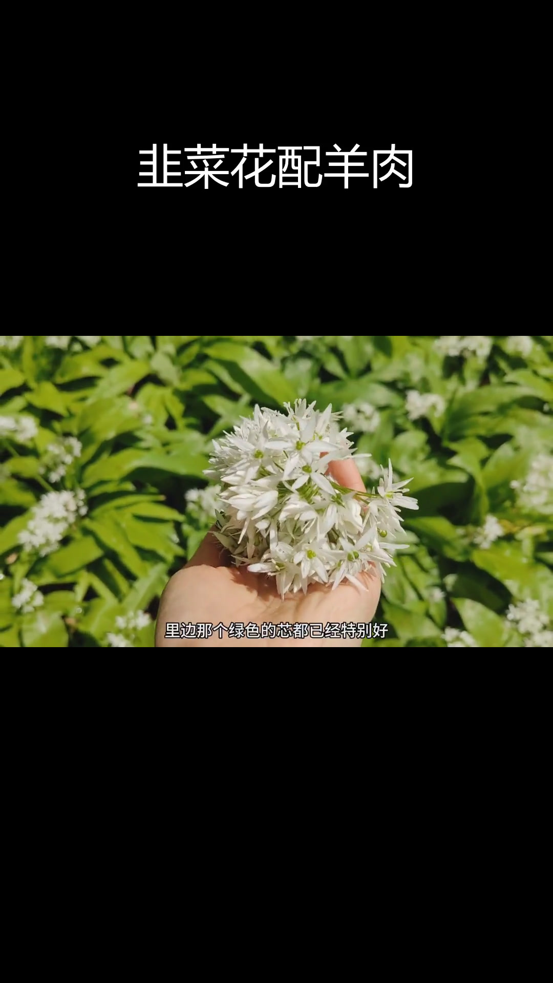 新鲜韭花与水煮羊肉,草原风味十足