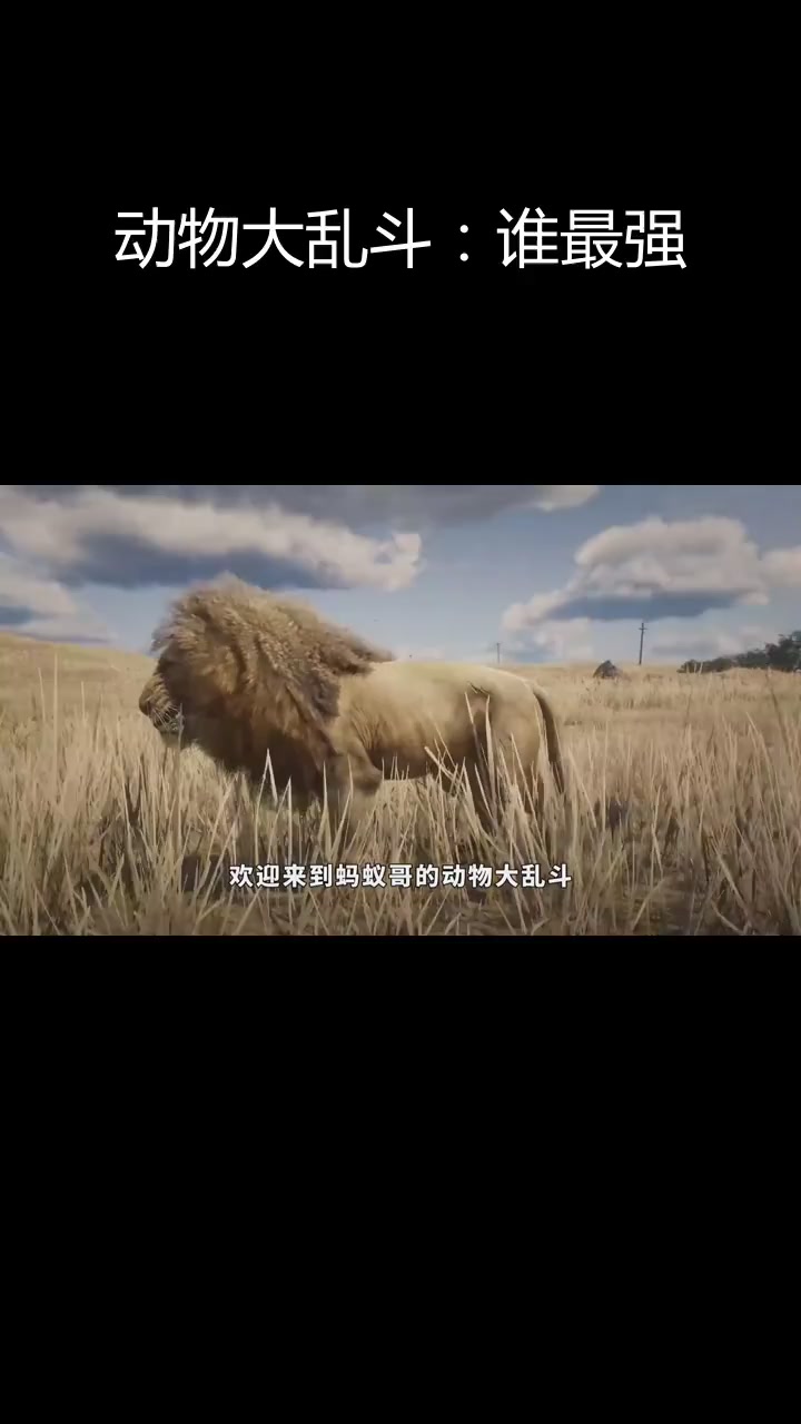 狮子与二哈的搞笑对决,鳄鱼和响尾蛇谁能胜出?