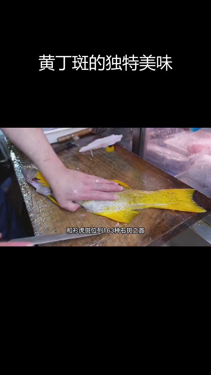 纯野生黄丁斑,极致海鲜体验