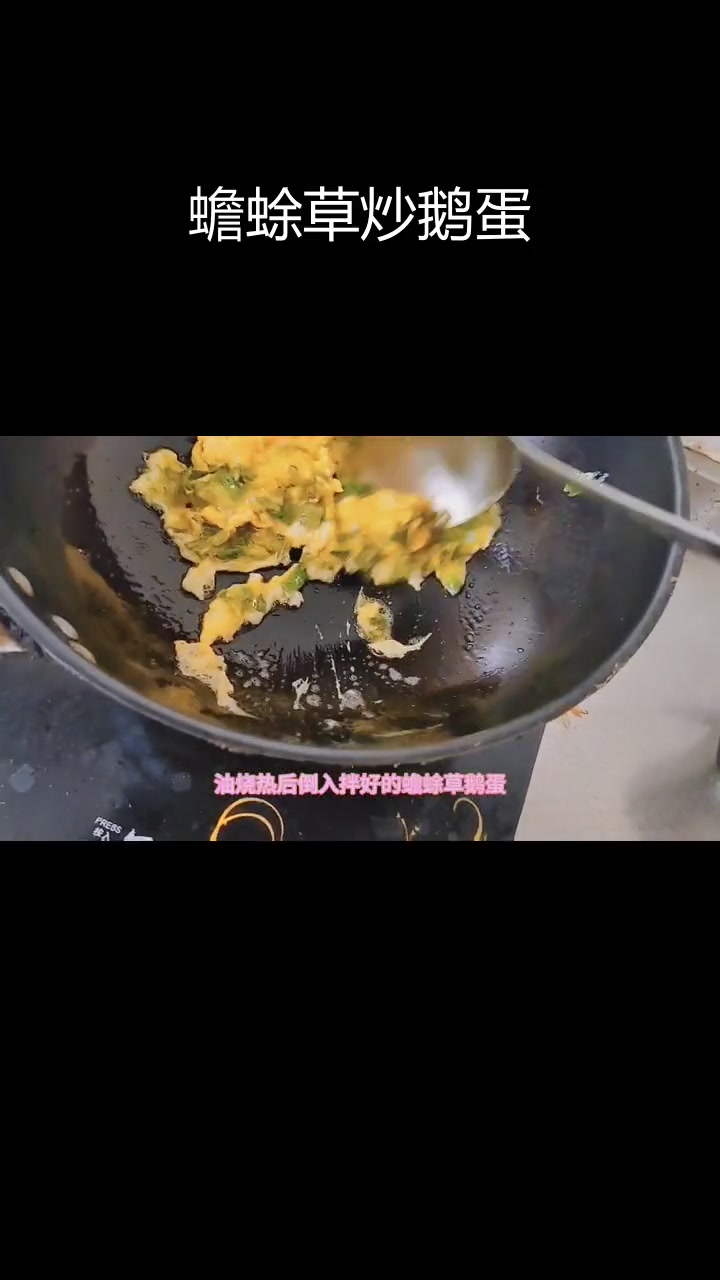 蟾蜍草炒鹅蛋,香气扑鼻,功效多多