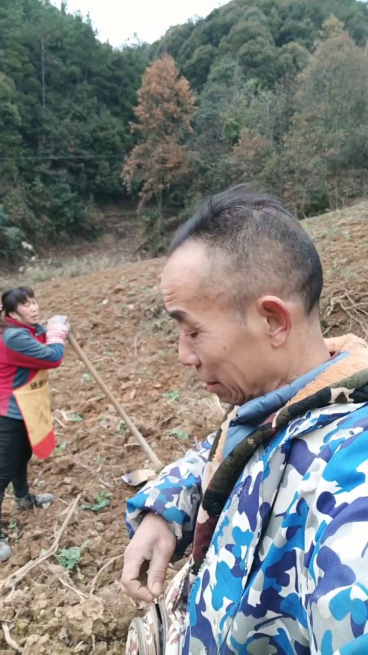 今天好鸡公冷