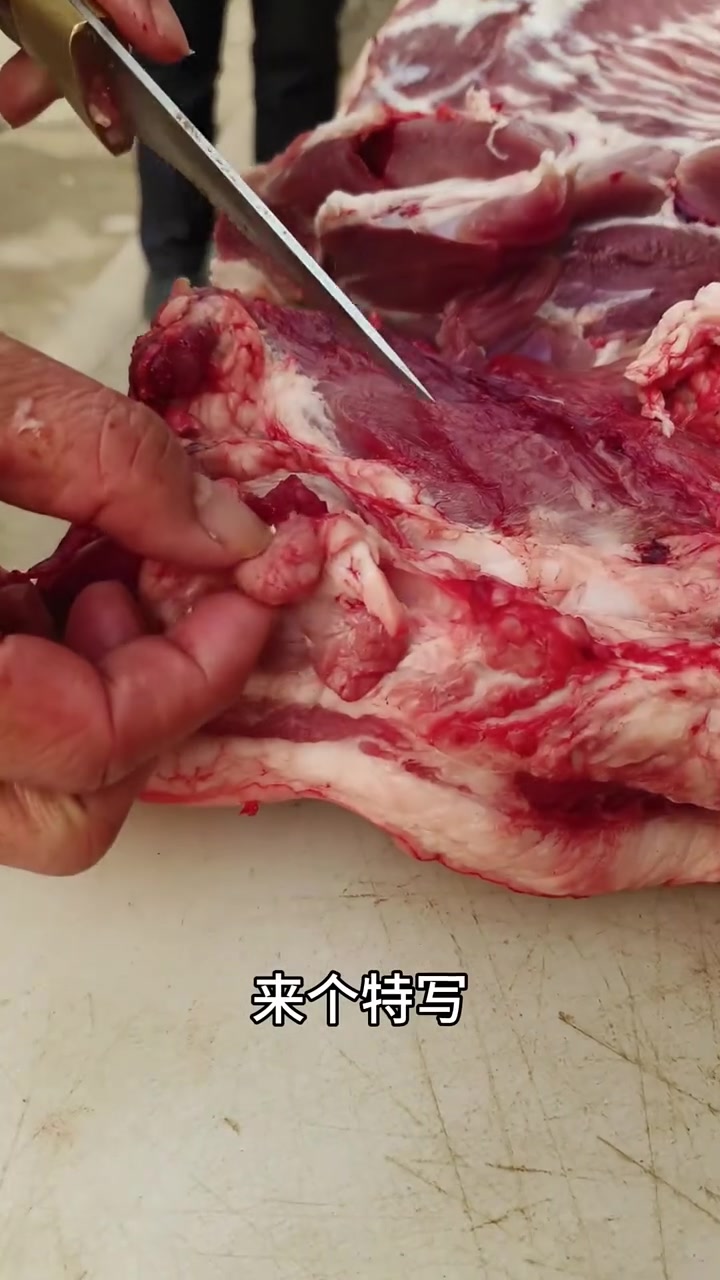 糟头肉俗称淋巴肉,是猪肉里最脏的器官,你可千万别在吃了