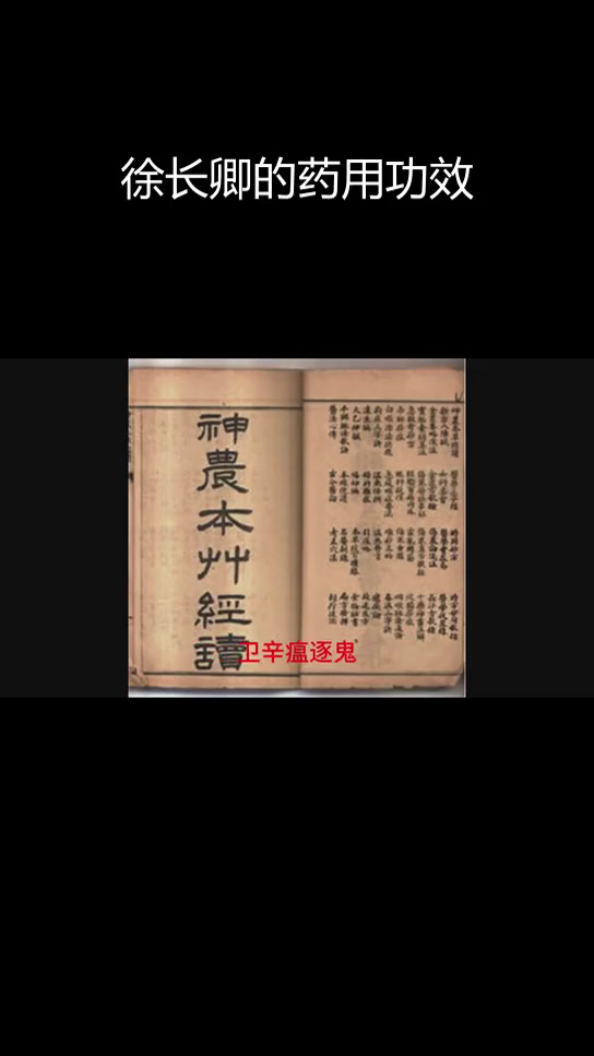 中医草药徐长卿:温性解毒,治邪病