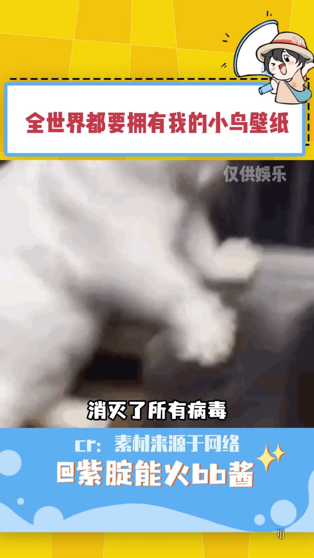 360:全世界都要拥有我的小鸟壁纸
