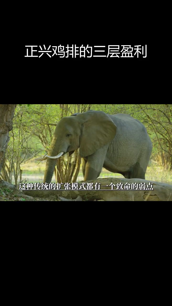 正新鸡排的盈利秘诀:三层模式解析