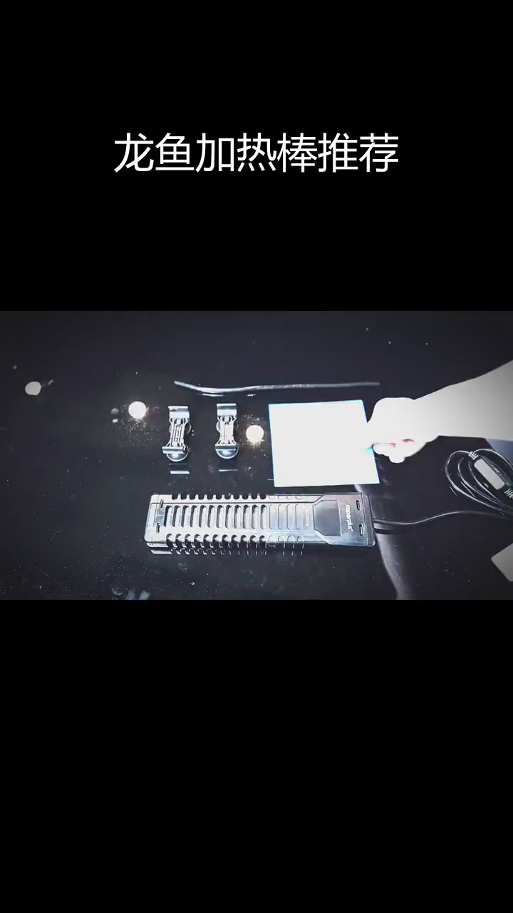 印尼龙鱼加热棒使用心得