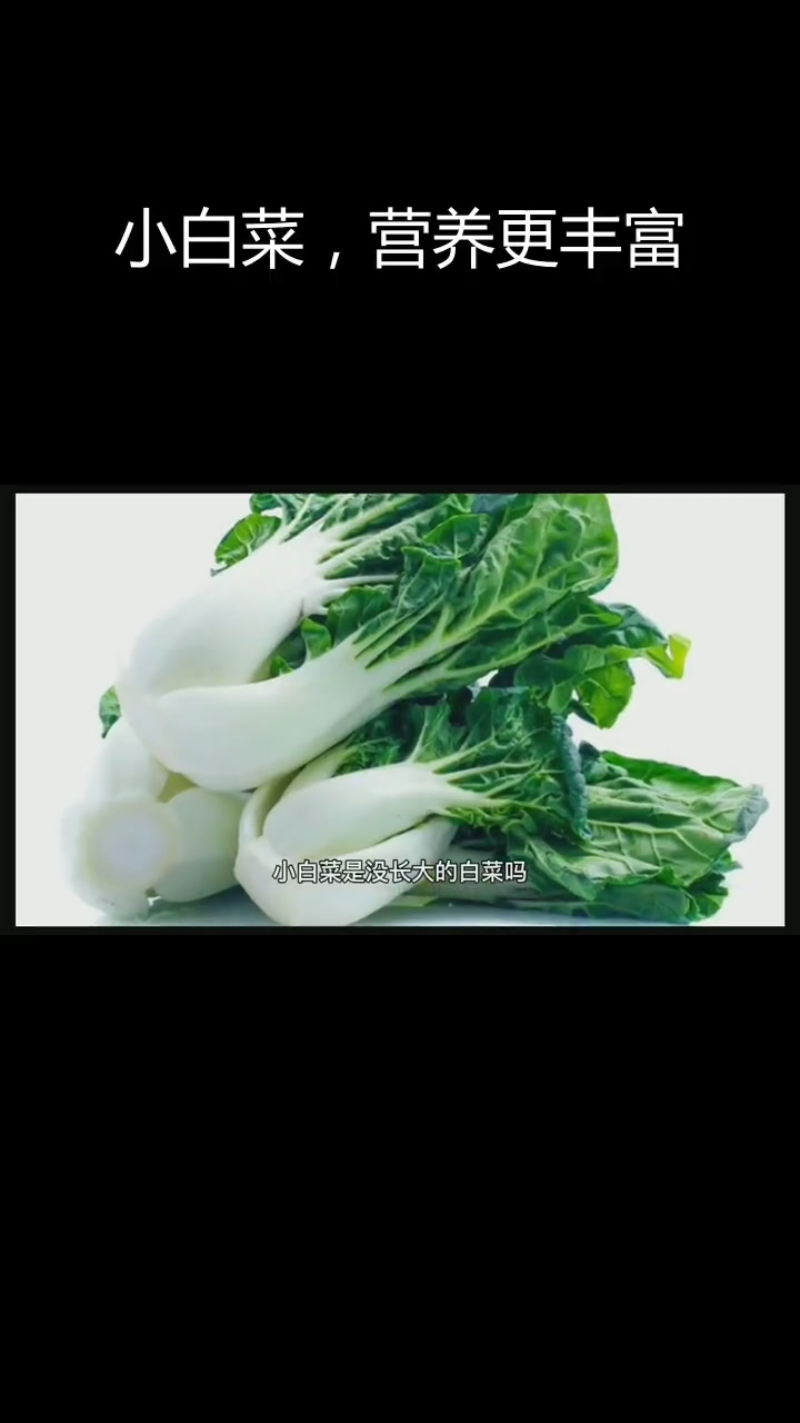 小白菜的营养价值与食用指南