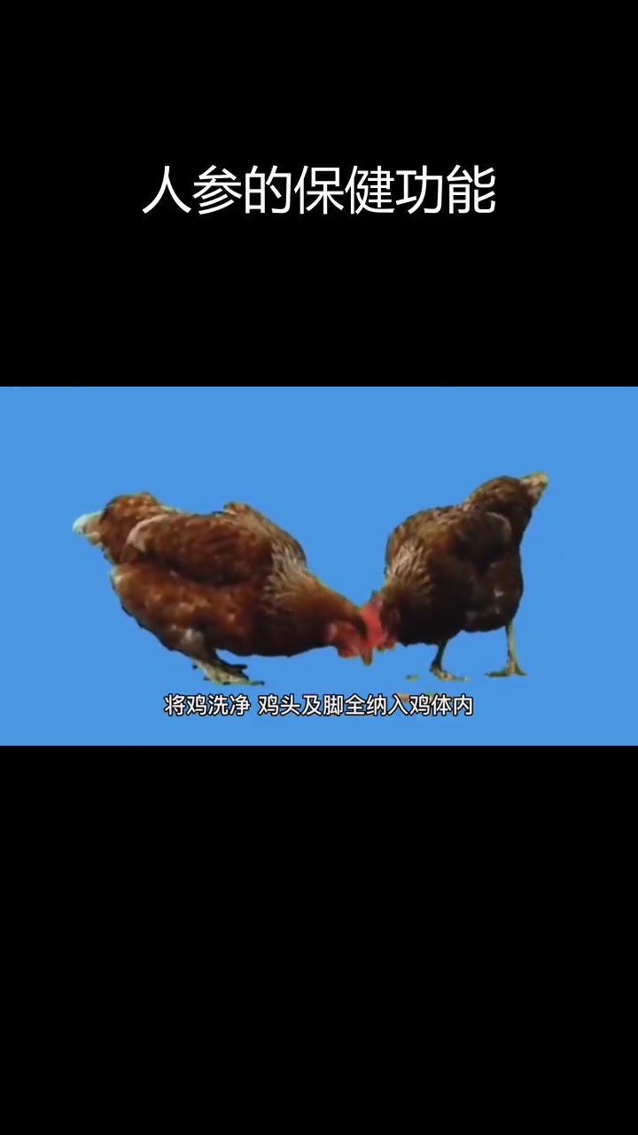 人参的药用功效与作用