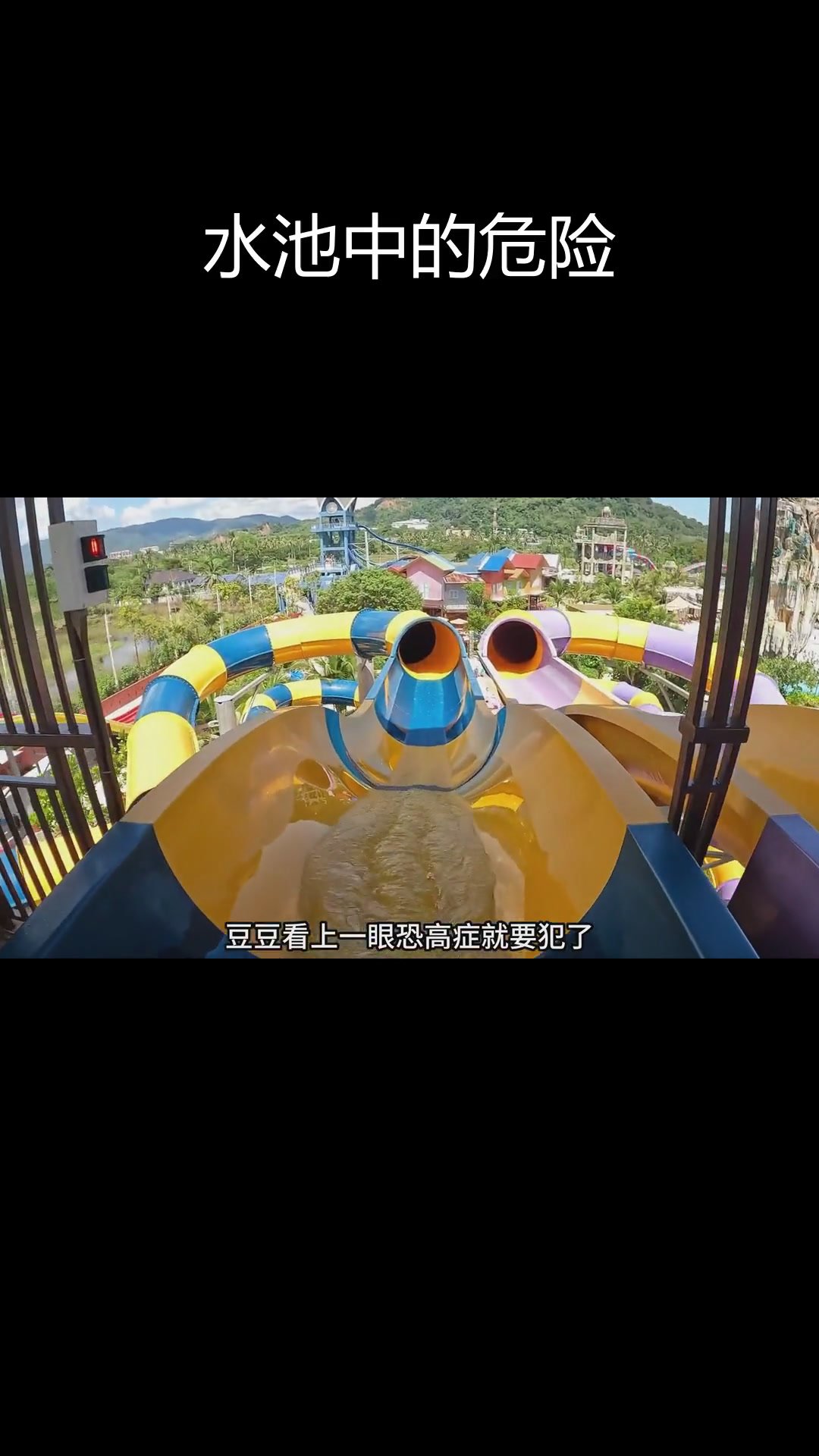 鲨鱼幼崽闯入水池,惊险水滑梯挑战