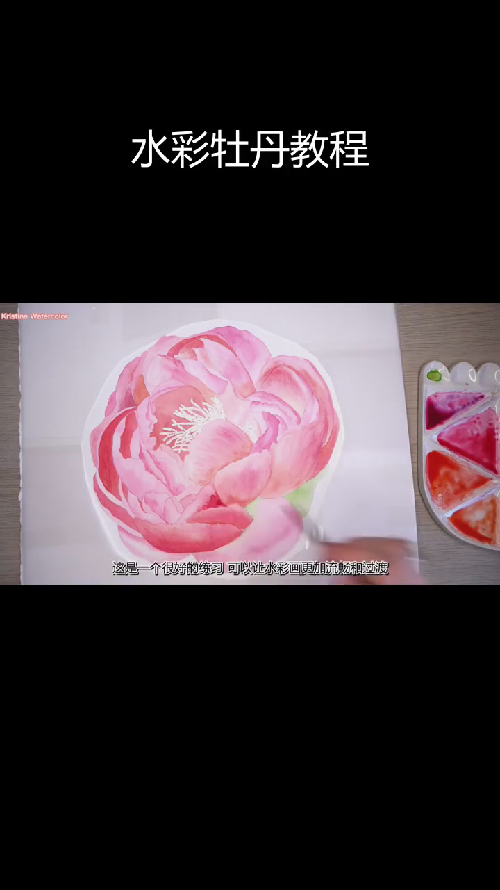 水彩牡丹花绘制技巧:配色与写实画法