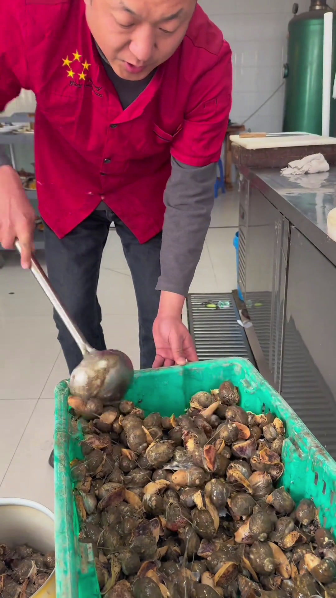 假鲍鱼!美食官小葱拌假鲍鱼大奇教做菜