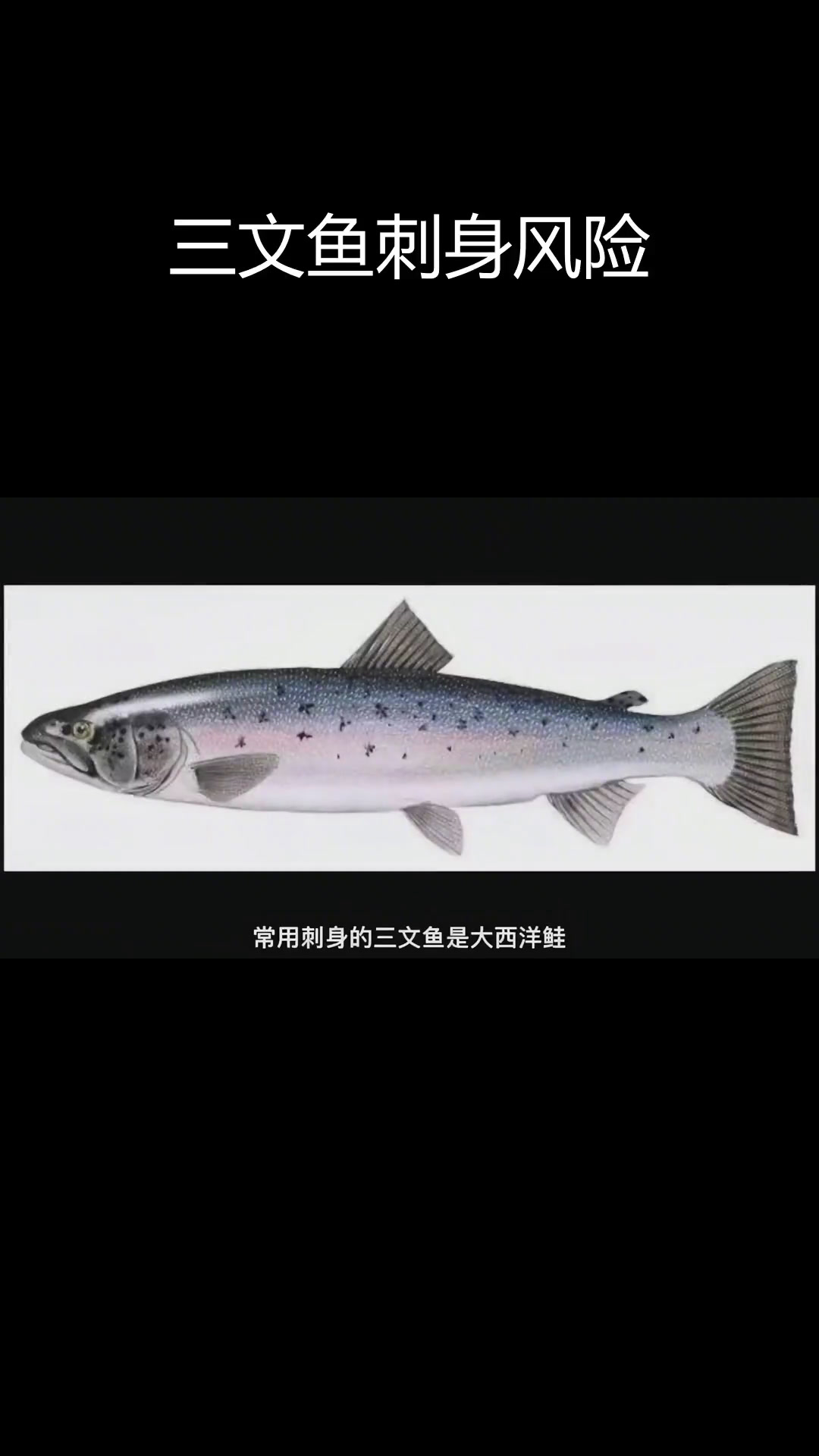虹鳟鱼能否生吃?三文鱼的真相