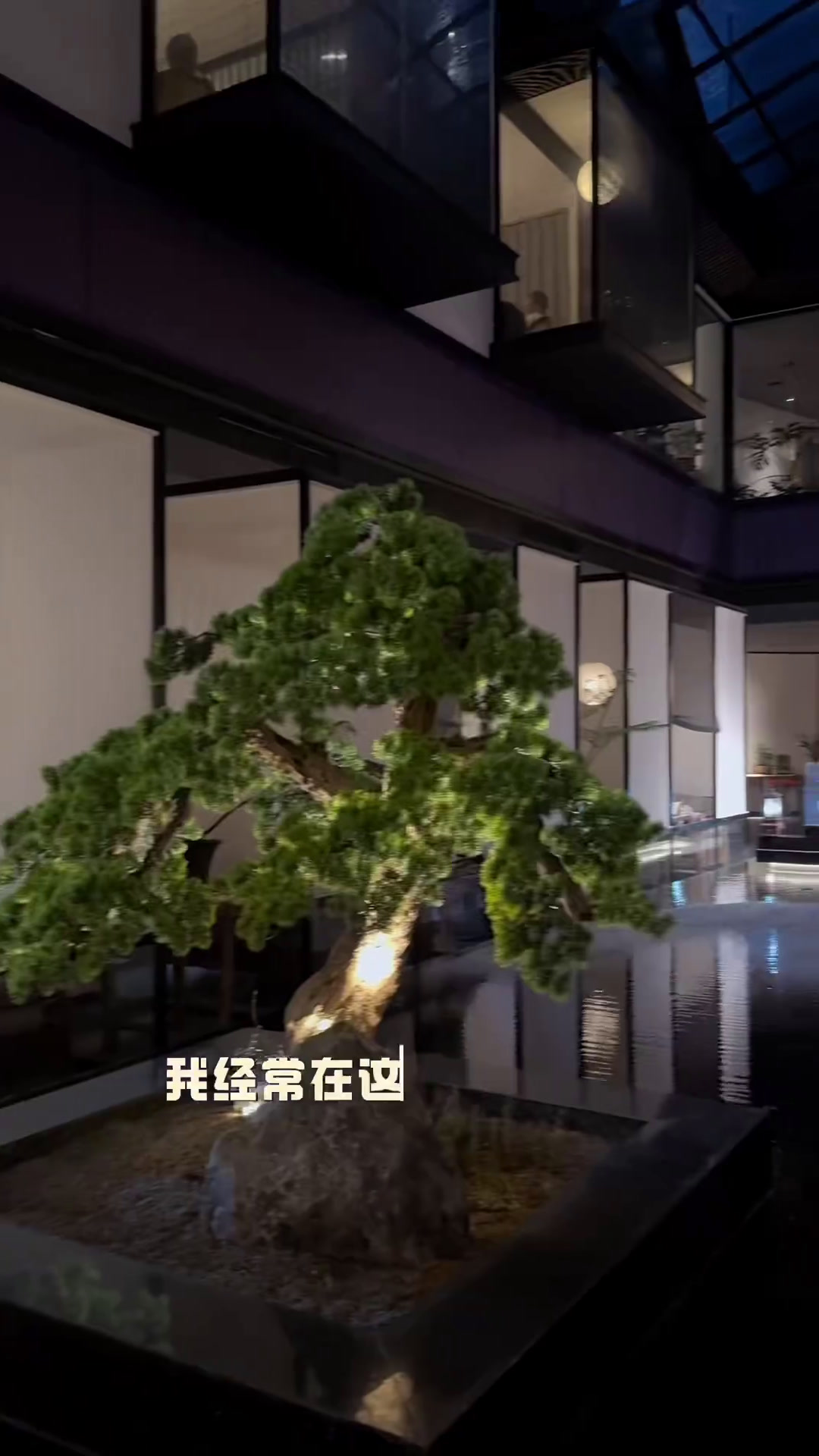 大隐于市的新中式餐厅龙虾也太好吃了吧小龙虾海鲜快来一起尝个鲜这店环境太好了大锤弟弟