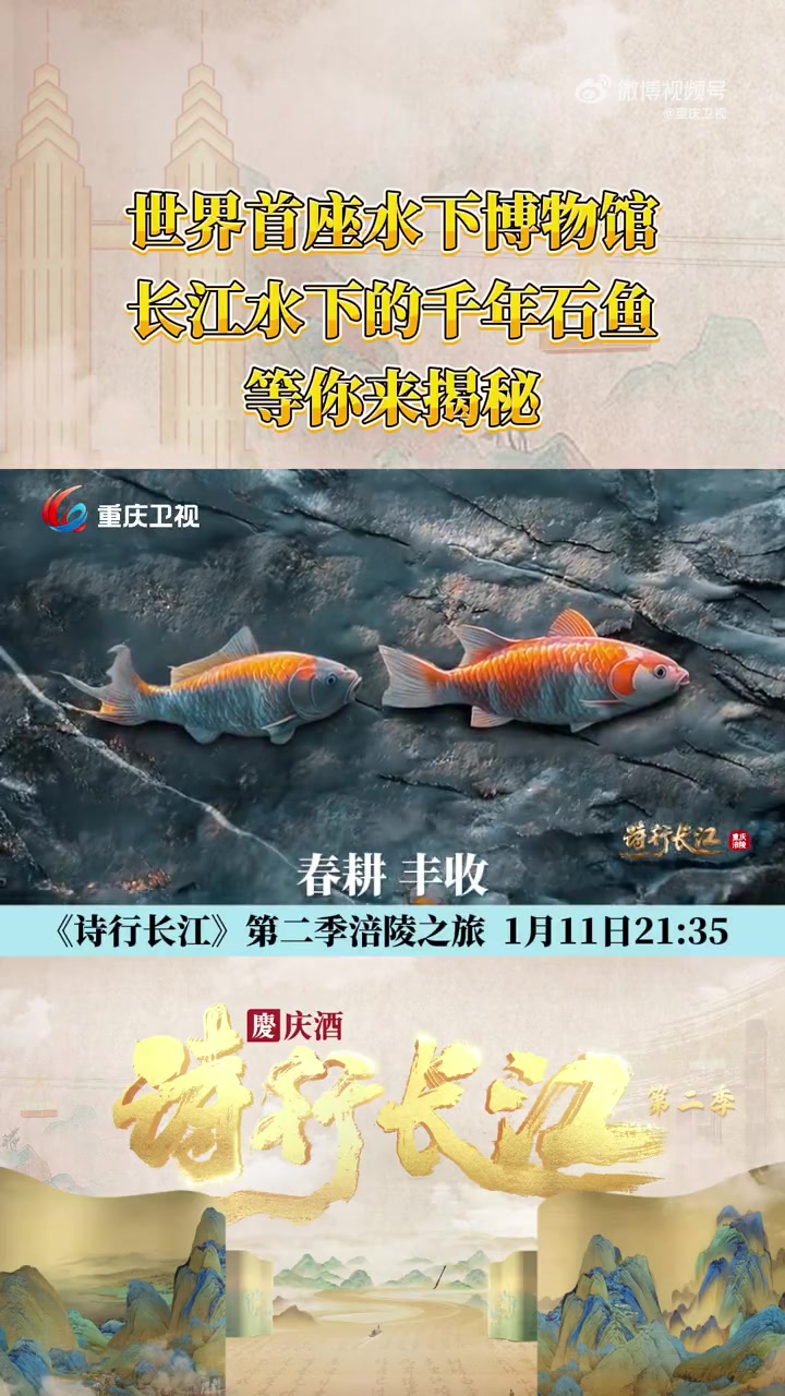 世界首座水下博物馆,长江水下的神秘石鱼,还有多少秘密是我们不知道的?重庆卫视大型文化探访轻