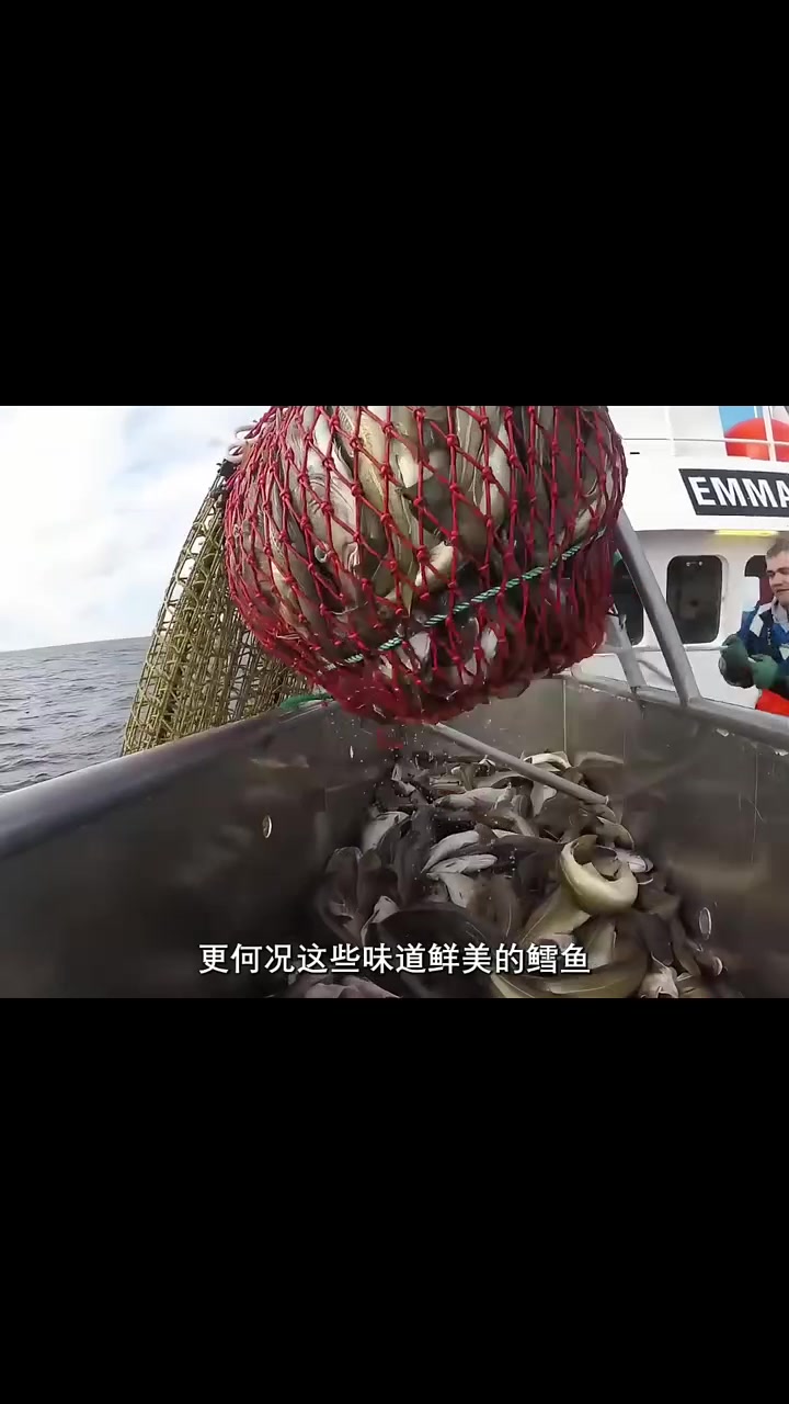 深海鳕鱼大片来袭,香酥可口超实惠!