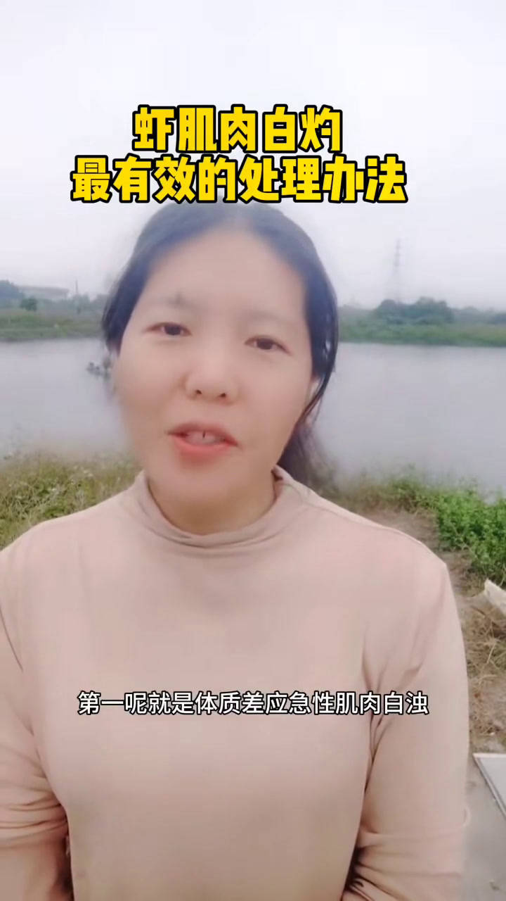 南美白对虾养殖技术,虾为什么会肌肉白灼?养虾技术